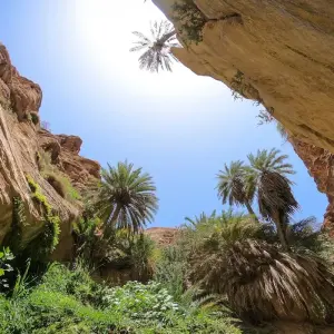 Explore Jordan Nature Adventures for 9 days with Enjoy Jordan Tours and discover unforgettable experiences - Photo 5
