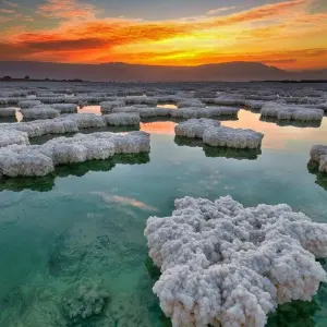 Explore Jordan Family Adventure for 7 days with Enjoy Jordan Tours and discover unforgettable experiences - Photo 7