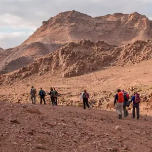 Explore Jordan Nature Adventures for 9 days with Enjoy Jordan Tours and discover unforgettable experiences - Photo 8