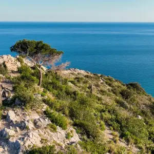 Explore Hotel La Primavera, Massa Lubrense for 8 days with Gebeco and discover unforgettable experiences - Photo 6
