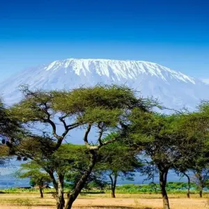 Explore Simba Safari, Tanganyika Wilderness Camps - Private Tour for 8 days with Prime Safaris and discover unforgettable experiences - Photo 2