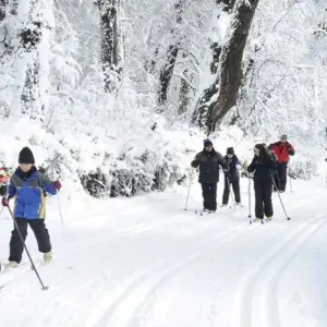 Explore Argentina - Bariloche, Buenos Aires and Calafate - 10 days for 10 days with Receptivo Aborigen Tours and discover unforgettable experiences - Photo 7