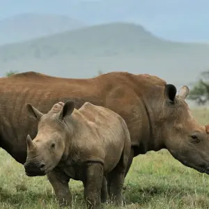 Explore Bush and Beach for 6 days with ATC Group and discover unforgettable experiences - Photo 2