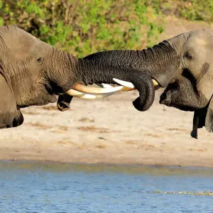 Explore Bush and Beach for 6 days with ATC Group and discover unforgettable experiences - Photo 4