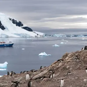 Explore Antarctic Voyage with South America and Galápagos Islands Guayaquil → Rio de Janeiro (2026) for 36 days with APT and discover unforgettable experiences - Photo 7