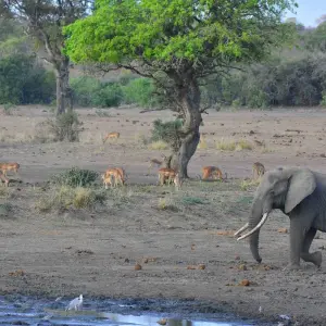 Explore 9 Day Kruger, Namibia and Vic Falls for 9 days with Africa Moja Tours & Transfers and discover unforgettable experiences - Photo 2