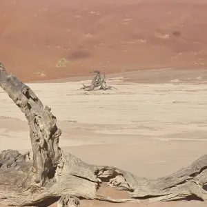 Explore 6 Day Namibia Tour from Johannesburg for 6 days with Africa Moja Tours & Transfers and discover unforgettable experiences - Photo 3