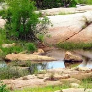 Explore 4 Days Kruger National Magical Safari with Panorama for 4 days with Africa Moja Tours & Transfers and discover unforgettable experiences - Photo 3