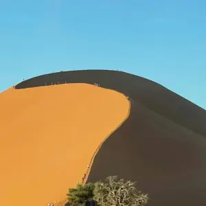 Explore 9 Day Kruger, Namibia and Vic Falls for 9 days with Africa Moja Tours & Transfers and discover unforgettable experiences - Photo 4