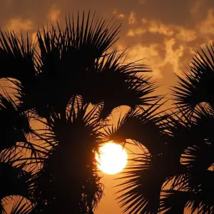 Explore 3 Days Best Ever Kruger National Park Safari from Cape Town for 3 days with Africa Moja Tours & Transfers and discover unforgettable experiences - Photo 2