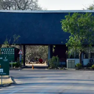 Explore 3 Days Best Ever Kruger National Park Safari from Cape Town for 3 days with Africa Moja Tours & Transfers and discover unforgettable experiences - Photo 3