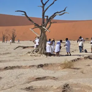 Explore 6 Day Namibia Tour from Johannesburg for 6 days with Africa Moja Tours & Transfers and discover unforgettable experiences - Photo 6