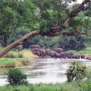 Explore 2 Days Best Ever Kruger National Park Safari from Cape Town for 2 days with Africa Moja Tours & Transfers and discover unforgettable experiences - Photo 7