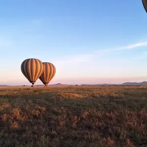 Explore Kenya And Tanzania Via Amboseli, Maasai Mara, Serengeti and Ngorongoro for 11 days with Authentic Africa and discover unforgettable experiences - Photo 2