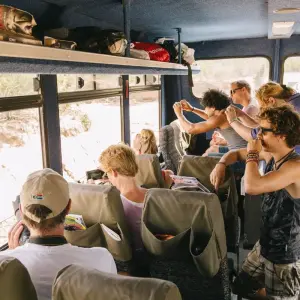 Explore Kenya And Tanzania Via Amboseli, Maasai Mara, Serengeti and Ngorongoro for 11 days with Authentic Africa and discover unforgettable experiences - Photo 8