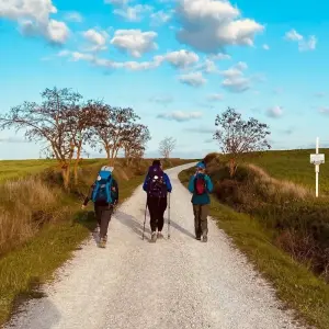 Explore Camino de Santiago (Francés) Guided *TREK* (All Inclusive) for 33 days with Climbing Mountains and discover unforgettable experiences - Photo 4
