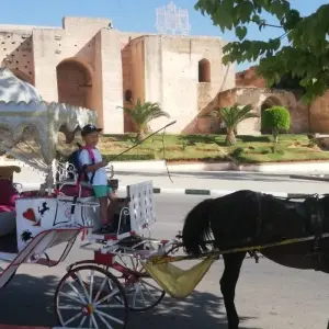 Explore North Morocco Discovery: Private 5-Day Tour from Tangier for 5 days with Cultural Morocco Tours and discover unforgettable experiences - Photo 11