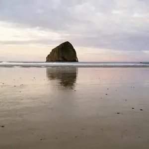 Explore Wild coast & majestic forests for 16 days with DERTOUR and discover unforgettable experiences - Photo 9