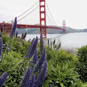 Explore Wild coast & majestic forests for 16 days with DERTOUR and discover unforgettable experiences - Photo 10