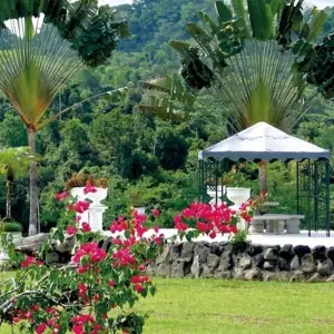 Explore Drake Bay & Corcovado National Park (from/to San Jose) for 4 days with DERTOUR and discover unforgettable experiences - Photo 8