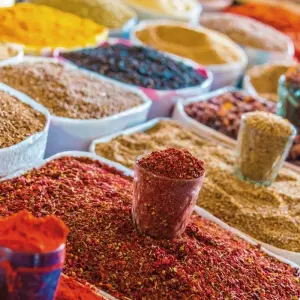 Explore Highlights of Uzbekistan for 14 days with DERTOUR and discover unforgettable experiences - Photo 8