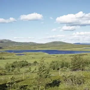 Explore Lapland, Lofoten, North Cape (from Evenes) for 15 days with DERTOUR and discover unforgettable experiences - Photo 8