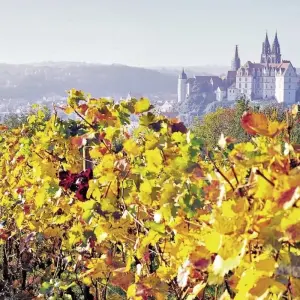 Explore The Elbe Cycle Route classic for 7 days with DERTOUR and discover unforgettable experiences - Photo 2