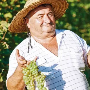 Explore A guest in Georgia for 8 days with DERTOUR and discover unforgettable experiences - Photo 9