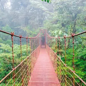 Explore Undiscovered Costa Rica for 8 days with DERTOUR and discover unforgettable experiences - Photo 9