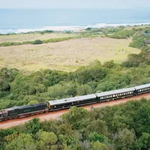 Explore Rovos Rail - The Pride of Africa (22 destinations) for 12 days with DERTOUR and discover unforgettable experiences - Photo 3