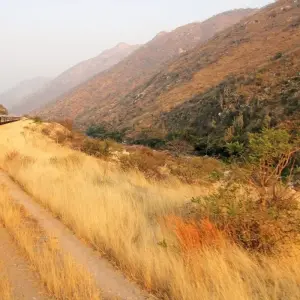 Explore Rovos Rail - The Pride of Africa (22 destinations) for 12 days with DERTOUR and discover unforgettable experiences - Photo 5