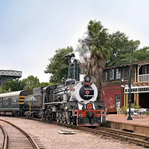 Explore Rovos Rail - The Pride of Africa (22 destinations) for 12 days with DERTOUR and discover unforgettable experiences - Photo 8