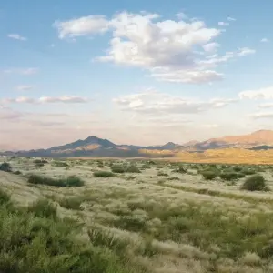 Explore Rovos Rail - The Pride of Africa (22 destinations) for 12 days with DERTOUR and discover unforgettable experiences - Photo 9