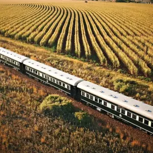 Explore Rovos Rail - The Pride of Africa (from Cape Town to Dar es Salaam) for 16 days with DERTOUR and discover unforgettable experiences - Photo 2