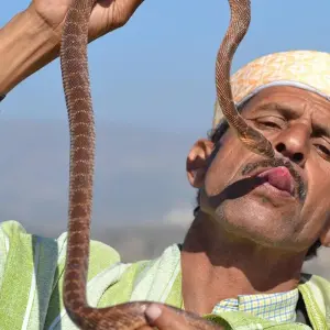 Explore 10 Days Authentic Morocco Tour - Discover the Soul of the Kingdom for 10 days with Desert vie  and discover unforgettable experiences - Photo 6