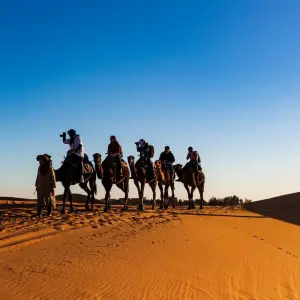Explore Imperial Cities & Blue Dreams: 7 Days From Marrakech to the Desert for 7 days with Desert vie  and discover unforgettable experiences - Photo 9
