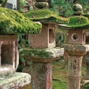 Explore Japan for individualists (incl. flight) for 13 days with DERTOUR and discover unforgettable experiences - Photo 5