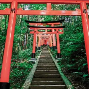 Explore Japan for individualists (incl. flight) for 13 days with DERTOUR and discover unforgettable experiences - Photo 8