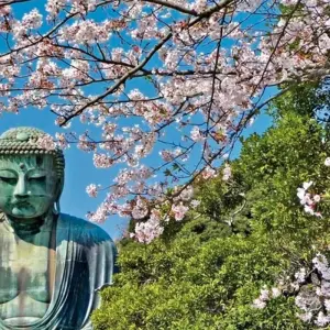 Explore Japan for individualists (incl. flight) for 13 days with DERTOUR and discover unforgettable experiences - Photo 10