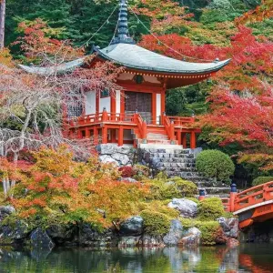 Explore Japan for individualists (incl. flight) for 13 days with DERTOUR and discover unforgettable experiences - Photo 11