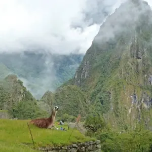 Explore Peru - On the Legendary Inca Trail for 14 days with DERTOUR and discover unforgettable experiences - Photo 7