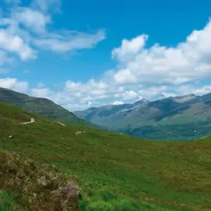 Explore Walking vacations on the West Highland Way (8 destinations) for 10 days with DERTOUR and discover unforgettable experiences - Photo 4