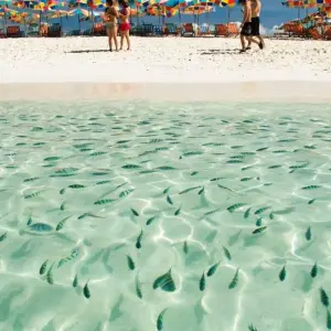 Explore A Relaxing Getaway to the Exotic Islands, 12 Days for 12 days with Destination Services Thailand and discover unforgettable experiences - Photo 7