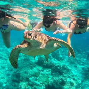 Explore Best of Bali - Feel Free Travel for 12 days with Feel Free Travel and discover unforgettable experiences - Photo 6