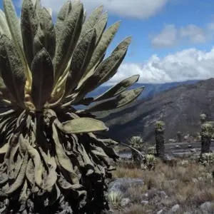 Explore El Cocuy 3-Day Excursion from Bogota for 3 days with Impulse Travel and discover unforgettable experiences - Photo 6