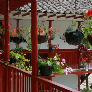 Explore Colombia Uncovered 2026 for 9 days with TruTravels and discover unforgettable experiences - Photo 9