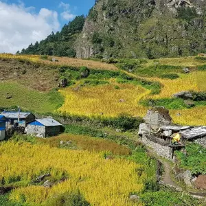 Explore Manaslu Tsum Valley Trek for 14 days with Adventure Bound and discover unforgettable experiences - Photo 5