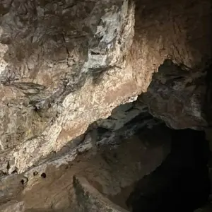 Explore Cradle of HumanKind – Maropeng and Sterkfontein Caves for 1 days with Africa Moja Tours & Transfers and discover unforgettable experiences - Photo 2