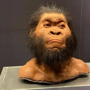 Explore Cradle of HumanKind – Maropeng and Sterkfontein Caves for 1 days with Africa Moja Tours & Transfers and discover unforgettable experiences - Photo 3