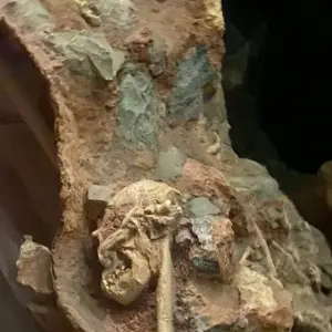 Explore Cradle of HumanKind – Maropeng and Sterkfontein Caves for 1 days with Africa Moja Tours & Transfers and discover unforgettable experiences - Photo 4